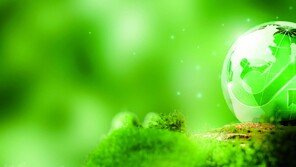 교보생명-인천공항공사 16년 연속 1위… 지속가능 경영 ‘우등생’