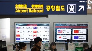 한국서도 안한 김장하고, 美유학 아들 입대 권유…高환율에 ‘비명’