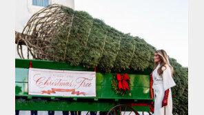 크리스마스트리 들이고, 추수감사절 ‘특별사면’ 칠면조까지… 연말 준비 분주한 백악관