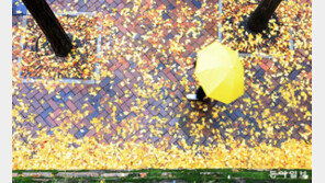 겨울 재촉하는 비, 낙엽 쌓인 돌담길