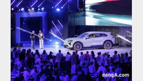 [사진]진귀한 ‘포르쉐’ 두바이 총출동