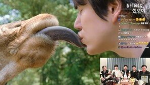 규현, 기린과 입맞춤 해명…“키스 아니고 뽀뽀다” 발끈