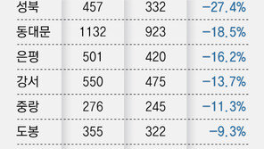 줄어든 서울외곽 전셋집… 전셋값 상승 경기로 불똥