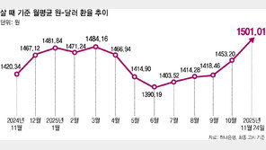 ‘뉴노멀’ 된 고환율… 현금 대신 달러 자산으로 갈아탄다