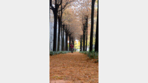 전국 흐리다 오전부터 차차 맑아져…낮 최고 16도