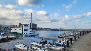 “제주 바람을 가른다” 올해 마지막 국제요트대회 개최