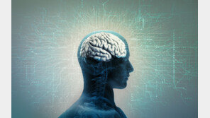 인간의 뇌, 32세가 최대 전환점…9·66·83세도 중요 분기점