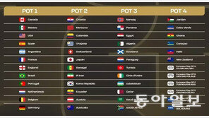 한국 축구 대표팀, 2026 월드컵 가장 무난한 포트2 확정