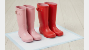 “비 올 때 현관에 딱 1장”…배변패드, 개 안 키워도 요긴 [알쓸톡]