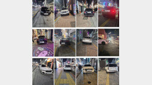 하루에 102대도…인도 불법주차 1만5000건 신고한 시민 [e글e글]