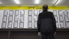 “연금 고작 66만원, 73세까지 일해야 산다”…韓노인고용 OECD 1위 ‘슬픈 진실’