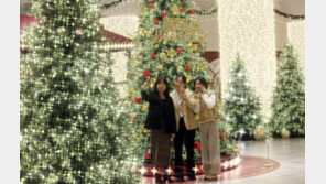 크리스마스트리와 ‘인생샷’