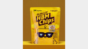 과자로 변신한 반도체… SK하이닉스 ‘HBM 칩스’ 출시