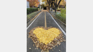 길 위에 놓인 사랑[고양이 눈]