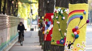 겨울옷 입은 가로수