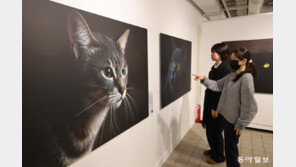 여의도 지하벙커 ‘캣츠 앤 독스’ 사진전