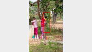 팬티만 입고 나무에 매달린 4살 아이…인도 교사 체벌 논란