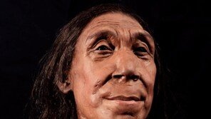 네안데르탈인 식인 흔적 발견…다른 집단 여성·어린이 표적