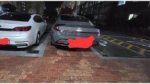 아파트 입구 인도에 ‘무개념 주차’…주민들 공분