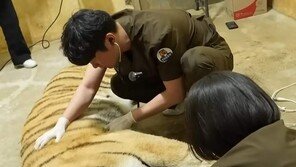 광주 우치동물원, 동물복지대상 수상