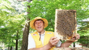 양봉 기업-명인과 멸종 위기 토종벌 보호 활동