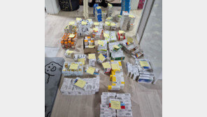 中의약품 불법 판매 2명 검거…자택서 1만7000여정 나와