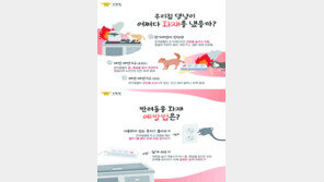 ‘반려동물’ 있는 빈집, 자칫 대형화재…예방 수칙은 ‘이것’