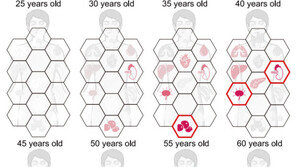 인체 노화, 50세 전후에 급속 진행…대동맥 쇠퇴가 가장 뚜렷