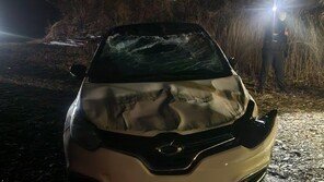 청주 실종 여성 전 남친 ‘폭행 인정·살해 부인’…번호판 바꿔달아