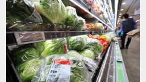 월 544만원 벌어도 지갑은 닫았다…가계 실질소비 3분기째 ‘꽁꽁’