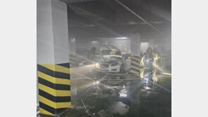 술 취해 지하주차장 엄마 차에 불지른 20대 체포