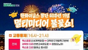 대전시, 한화이글스 40주년 불꽃쇼 대비 주요 도로 전면 통제
