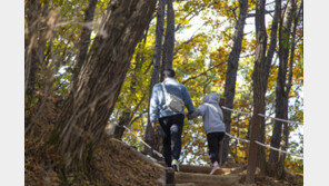 늦가을, 차로 1~2시간 거리…경기도 숲길로 떠난다