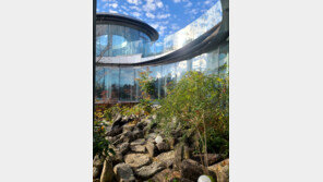 ‘내가 꿈꾸는 성공’의 마지막 퍼즐[정성갑의 공간의 재발견]