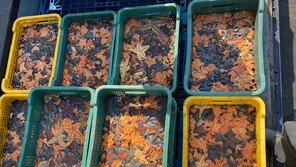 스타스테크 “해양 생태계 문제를 혁신 기술로 해결합니다” [SBA 초격차]