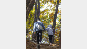 숲멍은 치유의 숲, 트레킹은 구름산