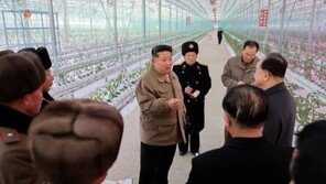 온실 채소 죽으면 간부들은 목 내놔야…‘김정은 농장’의 실상 [주성하의 ‘北토크’]