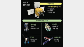 총 960㎏ 위성 13기 싣고 우주로… “누리호 최고 난도 임무완수”