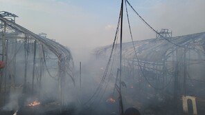 김포서 양계장 화재 2만6000마리 폐사