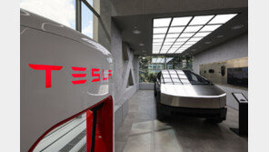 도로 위 테슬라 14만대…“5년새 10배 늘었다”