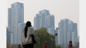 외국인 소유 주택 10만호 넘었다…56.6%가 ‘중국인’