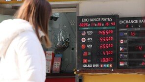 국힘 “고환율이 서학개미 탓? 국민에게 책임 돌리지 마라”