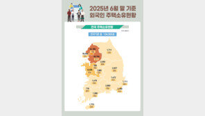 외국인 소유 주택 57%가 중국인…토지는 미국인이 53%