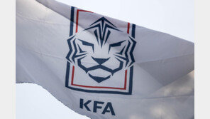 ‘2035 한일 아시안컵’되나…축구협회 “공동 개최 추진”