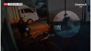 “개랑 놀다 다쳤다” 했는데…16개월 아이 온몸에 피멍