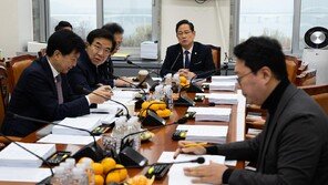 배당소득 분리과세 ‘50억 초과구간’ 신설…최고세율 30% 합의