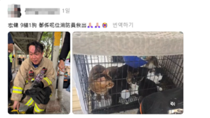  “모든 생명 지키기 위해”…홍콩 화재 속 반려동물 10마리 품은 소방관