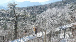 평창 발왕산에 열린 설국