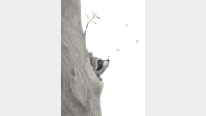 [그림책 한조각]나의 아기 라쿤에게