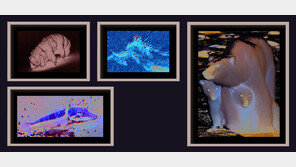 [책의 향기]못 살 것 같아도 살 길을 찾는다, 기어코